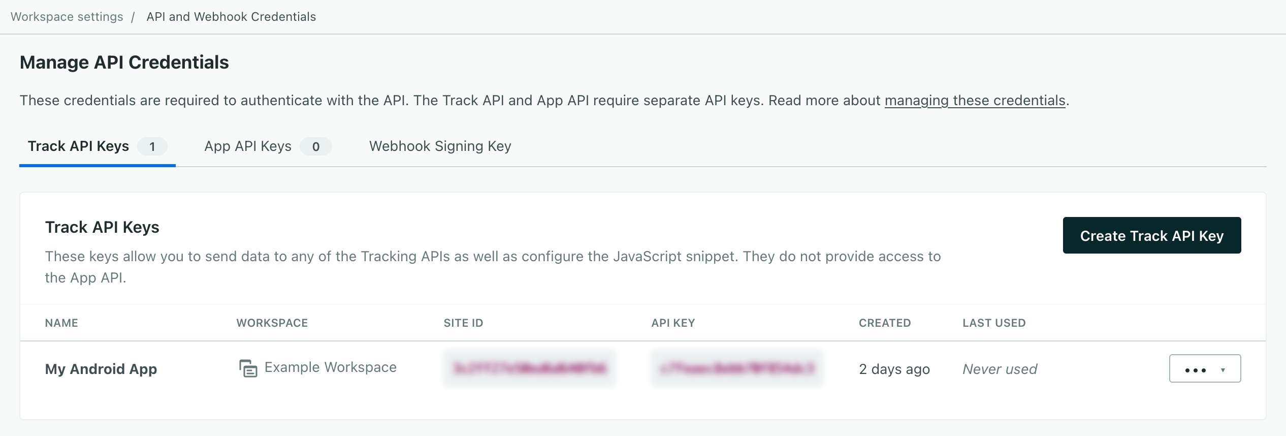 A screen showing a single set of track API credentials